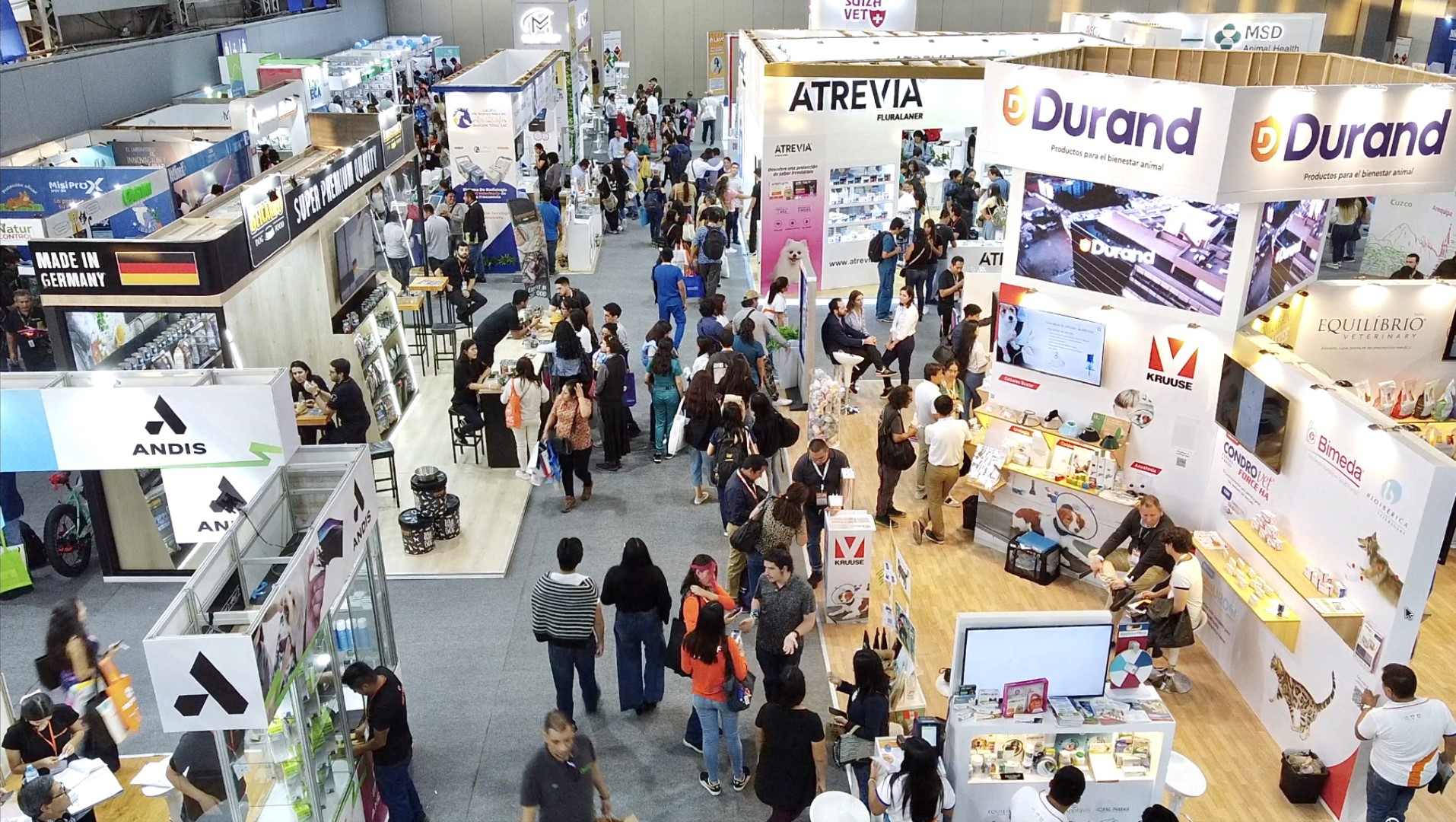 ÁREA DE EXHIBICIÓN 4
